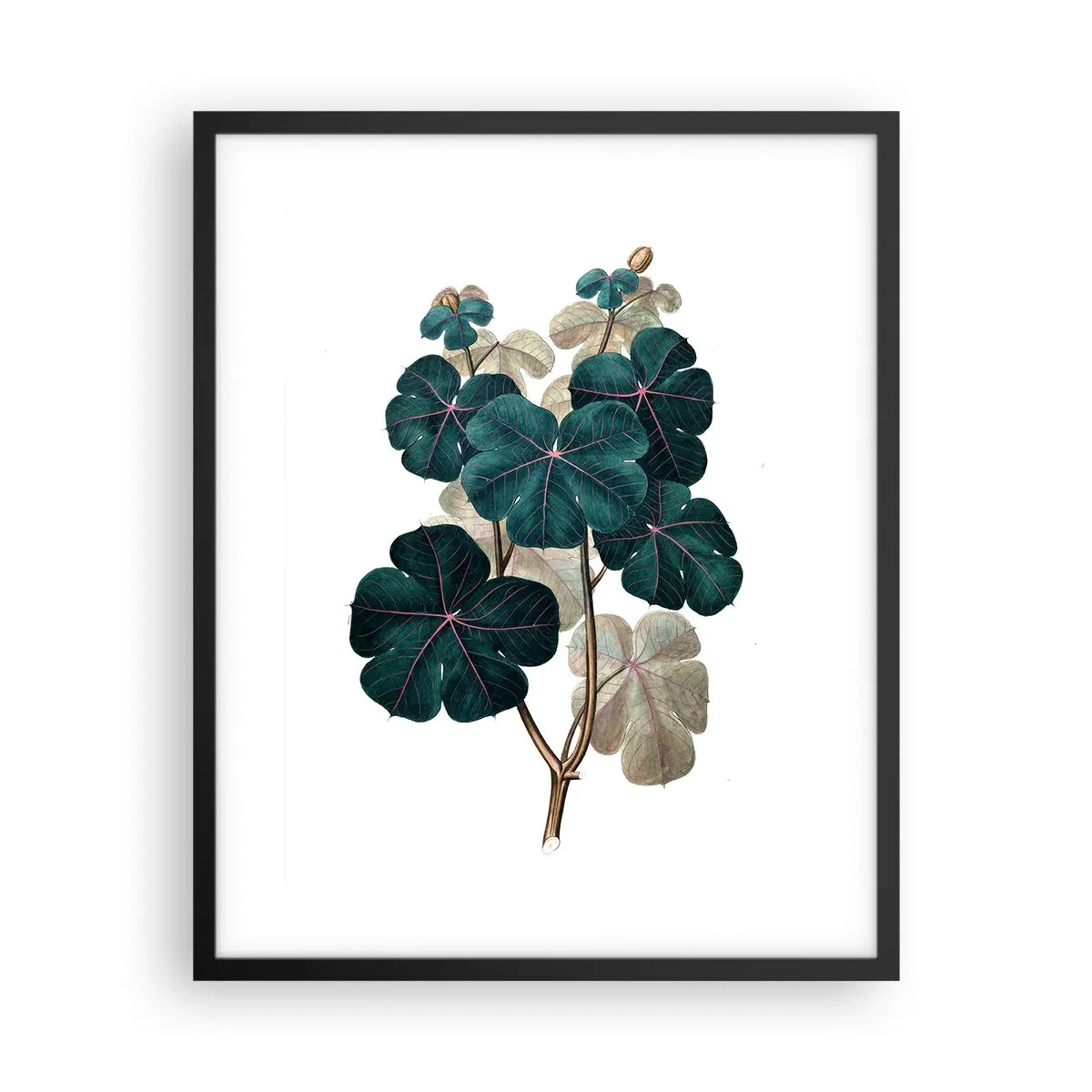Pôster com moldura preta - Do antigo herbário - 40x50 cm