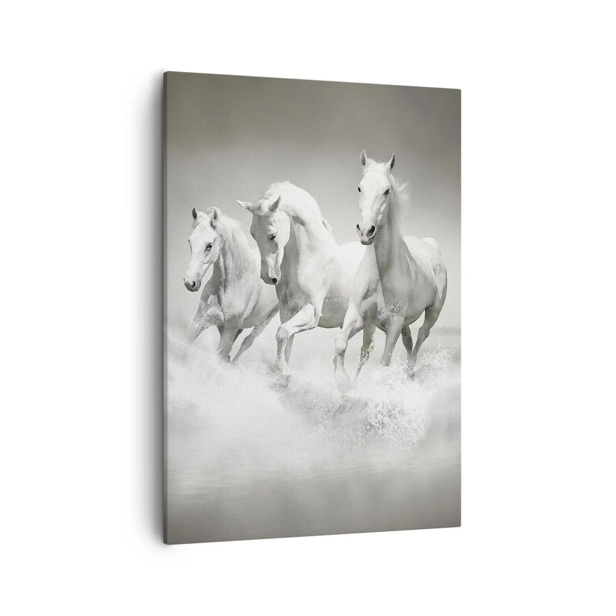 Quadro em tela - Loucura branca - 50x70 cm