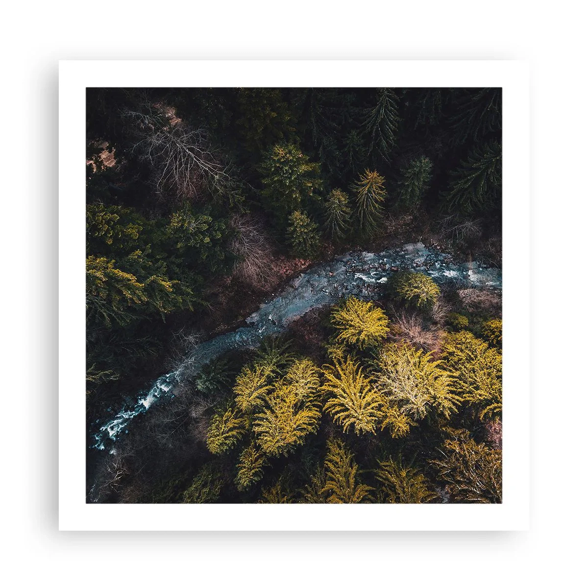 Pôster - Rápido e cada vez mais rápido - 60x60 cm