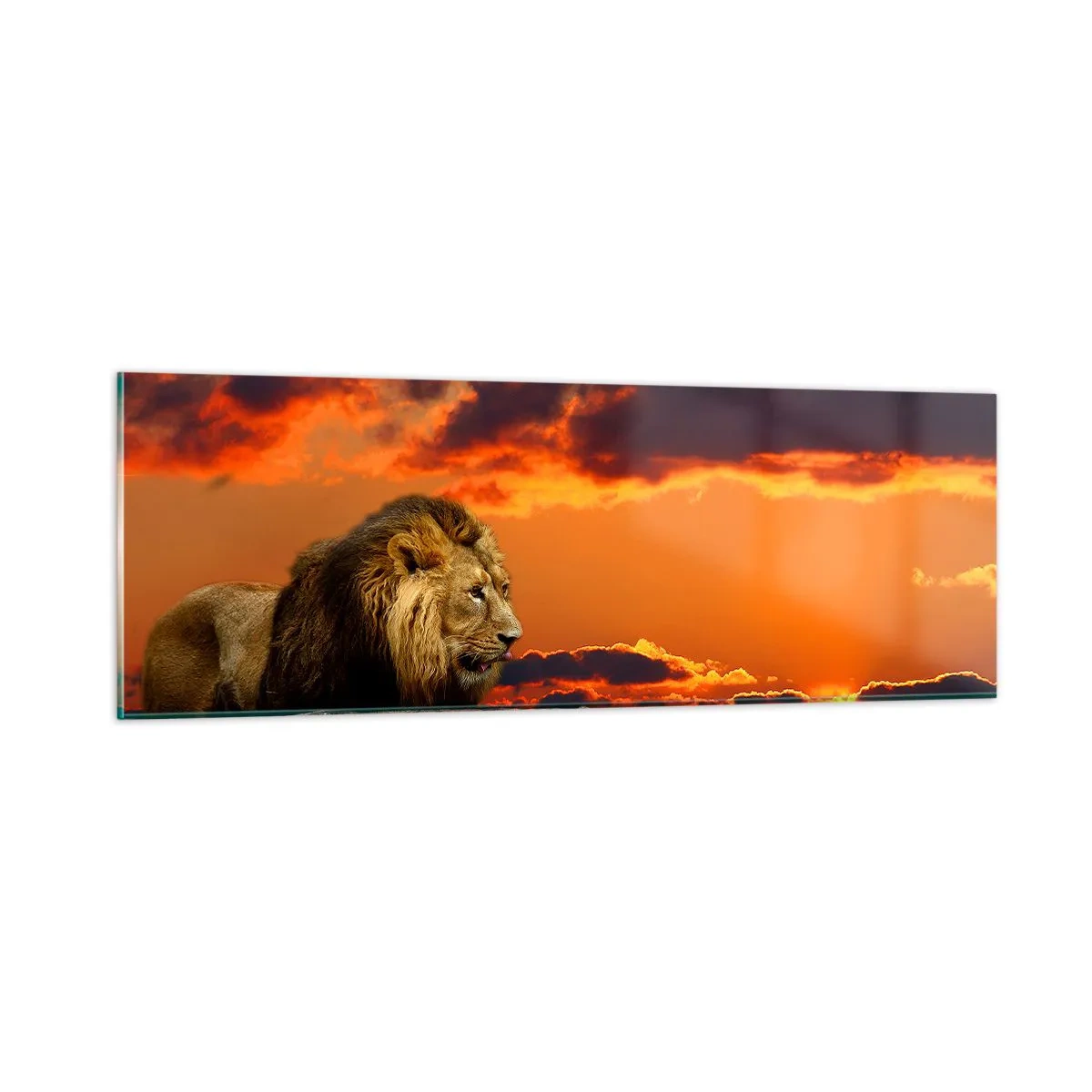 Quadro em vidro - Rei da natureza - 90x30 cm