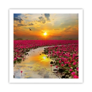 Pôster - A vida secreta do lago - 60x60 cm