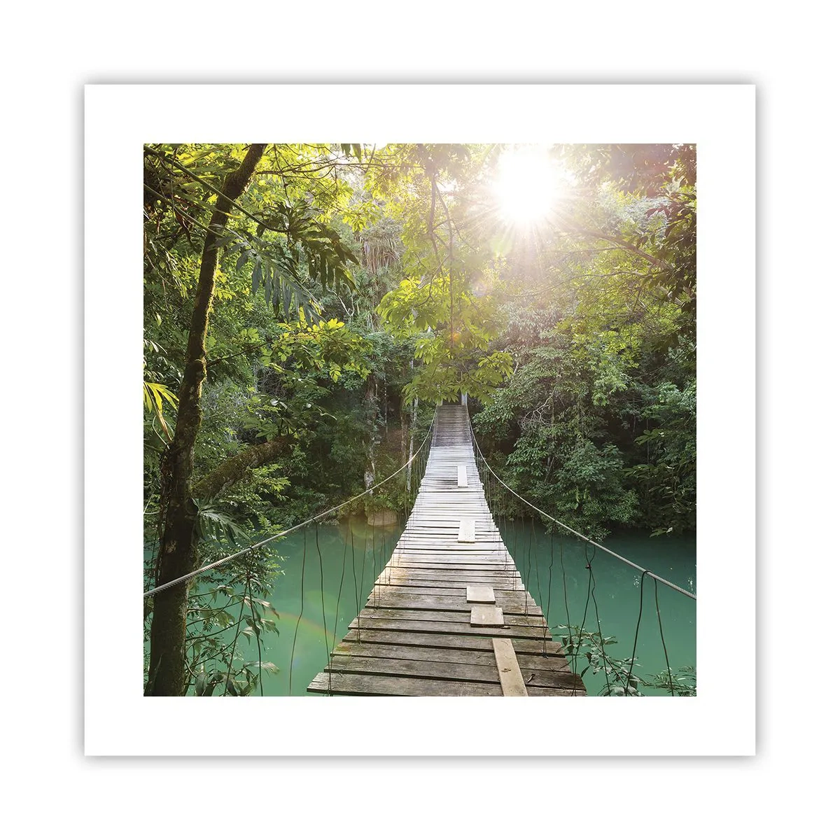 Pôster - Da água azul para a floresta azul - 40x40 cm