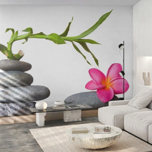 Papel de Parede Premium Canvas - Cores da vida e duração - Flor, Pedras, Spa - 350x256 cm