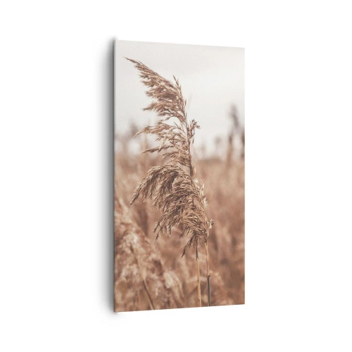 Quadro em tela - O outono já chegou ao campo - 65x120 cm