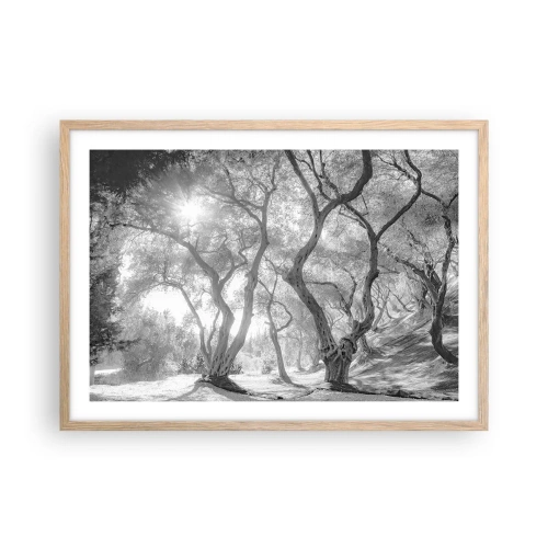 Pôster com moldura de carvalho claro - No olival - 70x50 cm