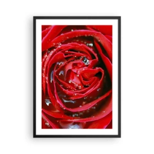Pôster com moldura preta - Close-up de uma rosa vermelha com gotas de água - 50x70cm - Em gotas de orvalho - Decoração de parede moderna para a sala de estar e quarto ARTTOR