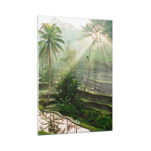Quadro em vidro - Crescer ao sol - 50x70 cm