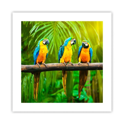 Pôster - E ouviste dizer que ela...? - 40x40 cm