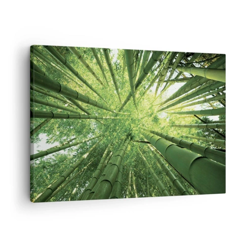 Quadro em tela - Vista através de um bosque de bambu verde - 70x50cm - Em um bosque de bambu - Decoração de parede moderna para a sala de estar e quarto ARTTOR