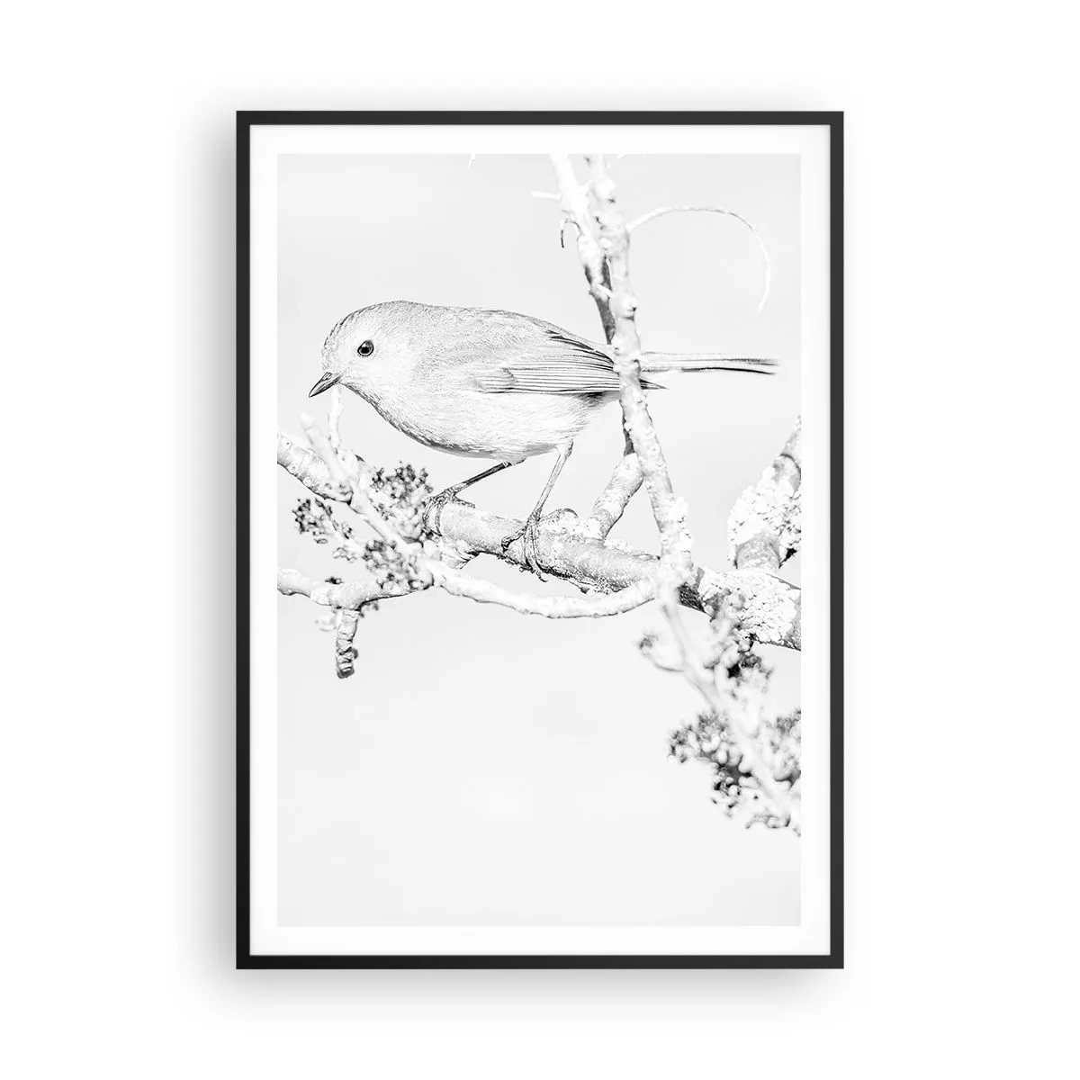 Pôster com moldura preta - Manhã de inverno - 70x100 cm