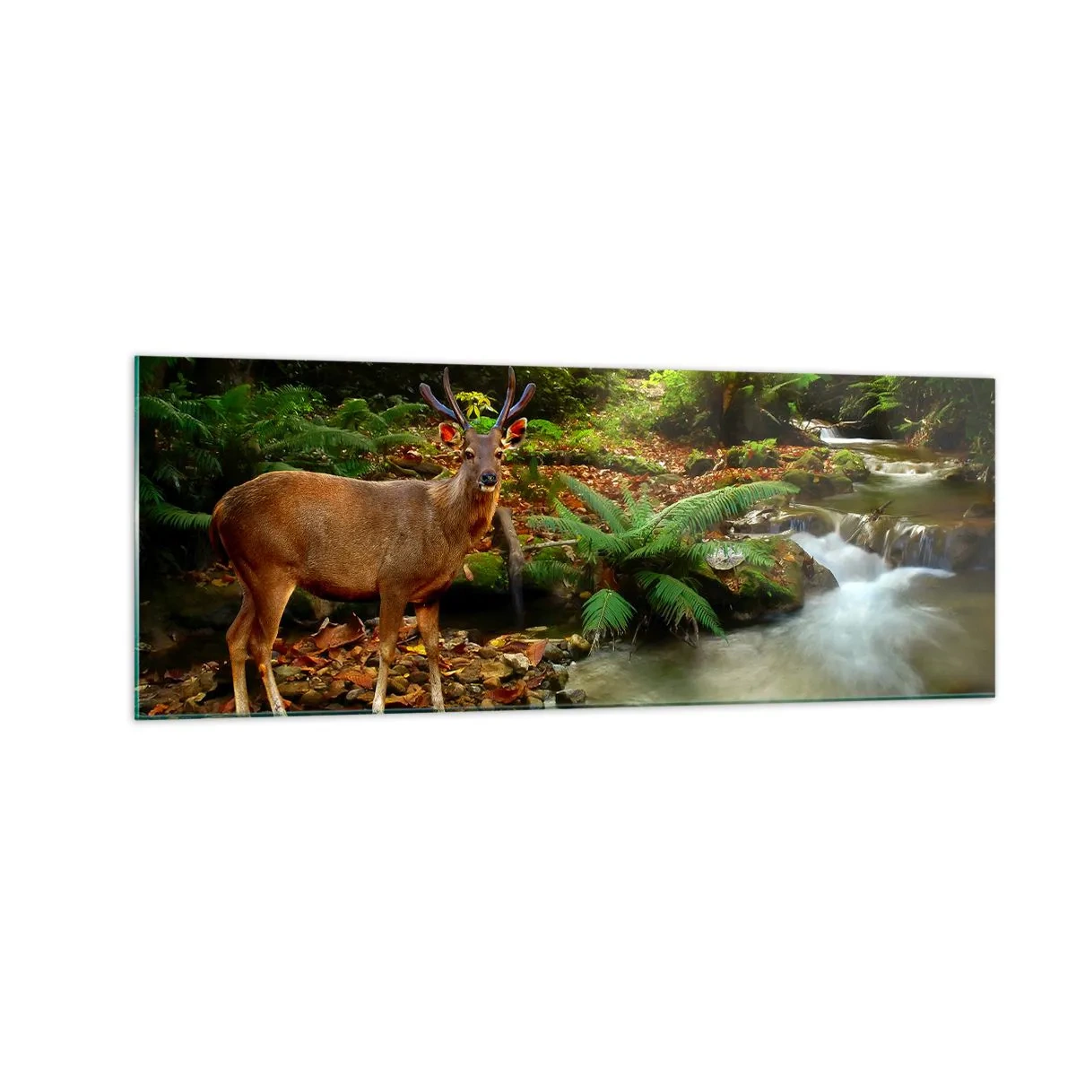 Quadro em vidro - Bem-vindo ao meu mundo - 140x50 cm