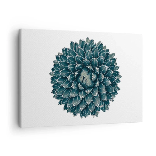 Quadro em tela - Planta suculenta simétrica em fundo branco - 70x50cm - Estrela do Deserto - Decoração de parede moderna para a sala de estar e quarto ARTTOR