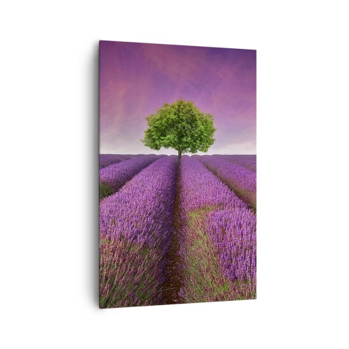 Quadro em tela - Nos campos de lavanda - 80x120 cm