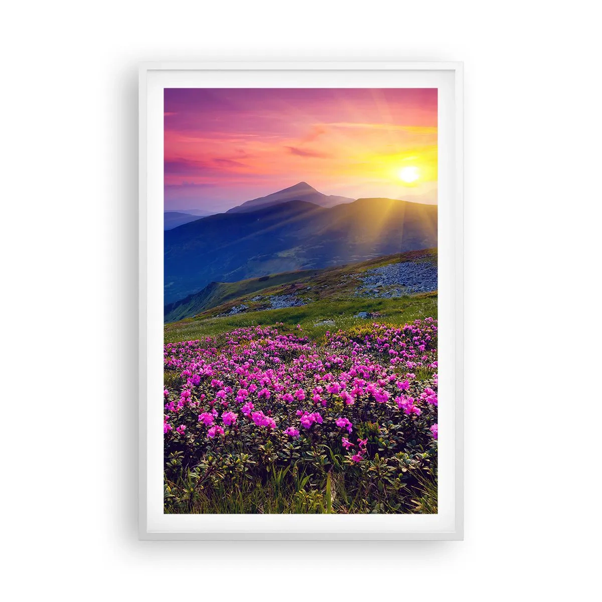 Pôster em moldura branca - …Cheiro de pinheiros e ervas da montanha - 61x91 cm