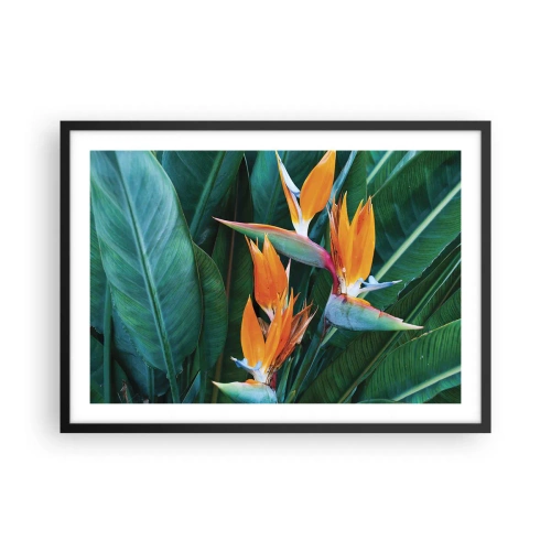 Pôster com moldura preta - É uma flor ou é um pássaro? - 70x50 cm