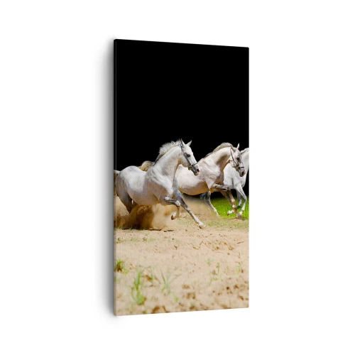 Quadro em tela - Três Graças - 55x100 cm