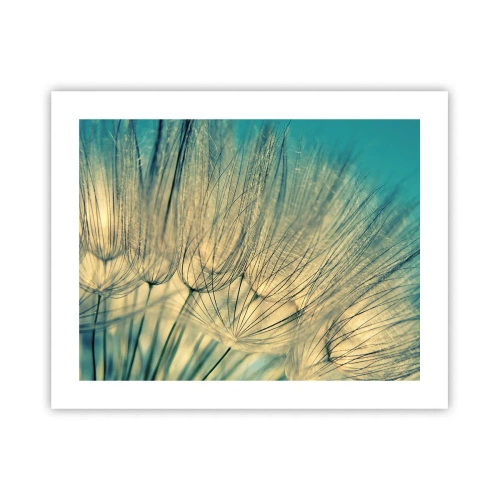 Pôster - À espera do vento - 50x40 cm