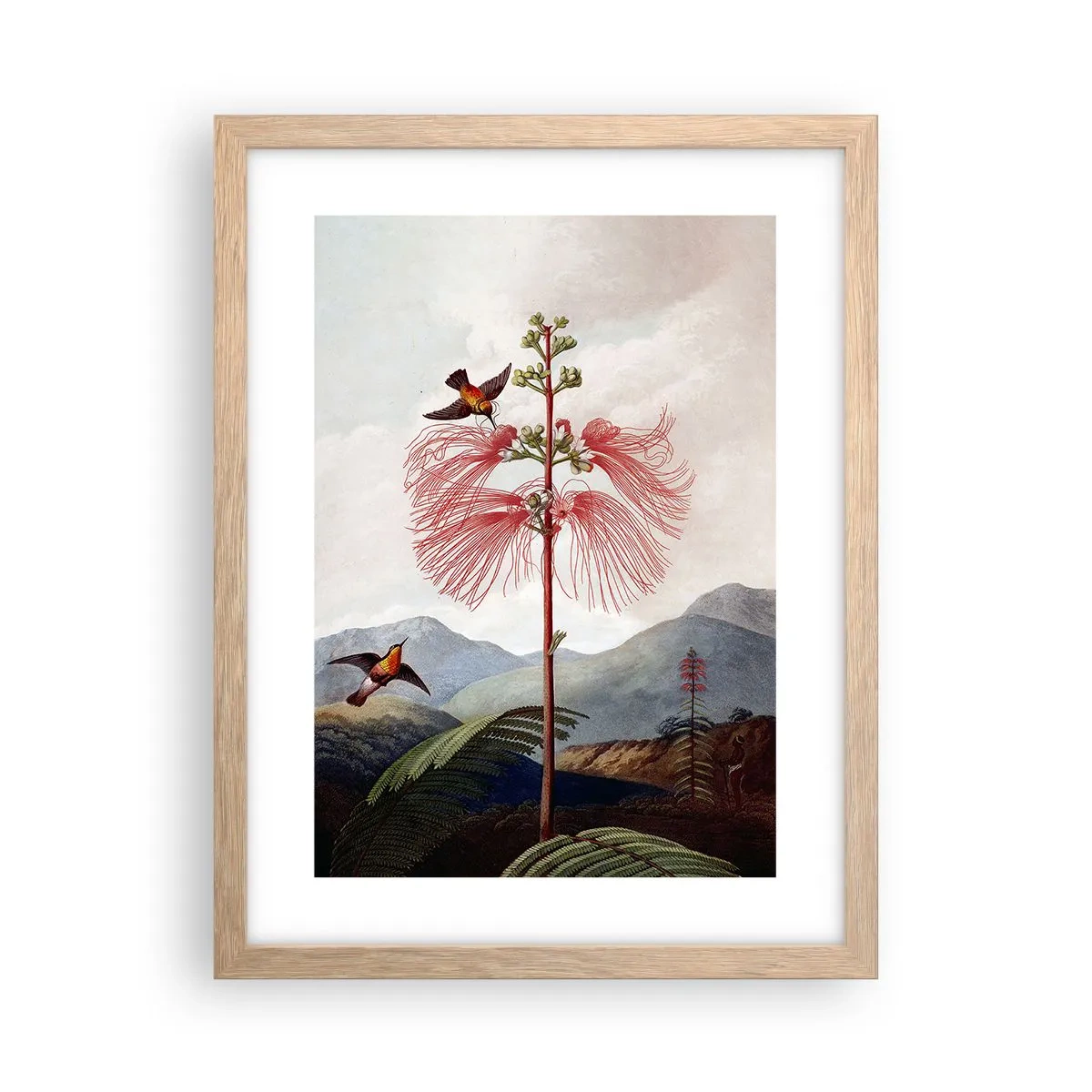 Pôster com moldura de carvalho claro - Em um paraíso tropical - 30x40 cm