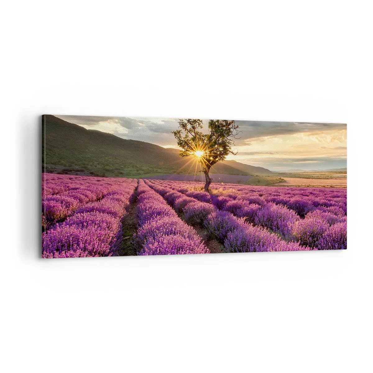 Quadro em tela - Aroma lilás - 100x40 cm