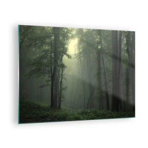 Quadro em vidro - Uma floresta escura envolta em neblina com raios de luz - 70x50cm - Antes de acordar - Decoração de parede moderna para a sala de estar e quarto ARTTOR
