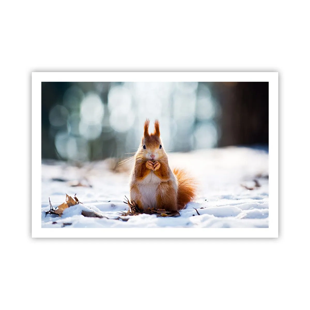 Pôster - Para o que estás a olhar? - 91x61 cm