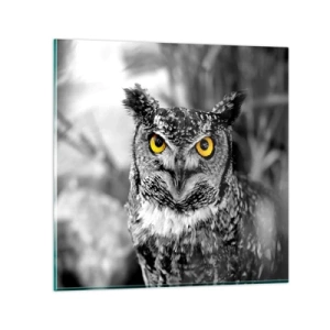 Quadro em vidro - Nada pode ser escondido - 30x30 cm