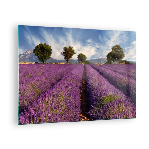 Quadro em vidro - Um campo de lavanda com árvores e um cenário de montanhas - 70x50cm - Prados de lavanda - Decoração de parede moderna para a sala de estar e quarto ARTTOR