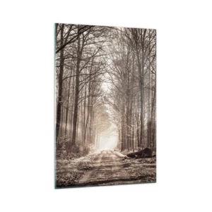 Quadro em vidro - Catedral na Floresta - 70x100 cm