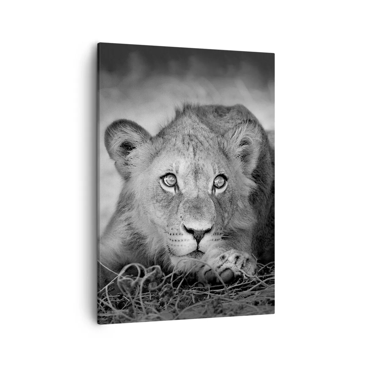Quadro em tela - Cachorro real - 50x70 cm