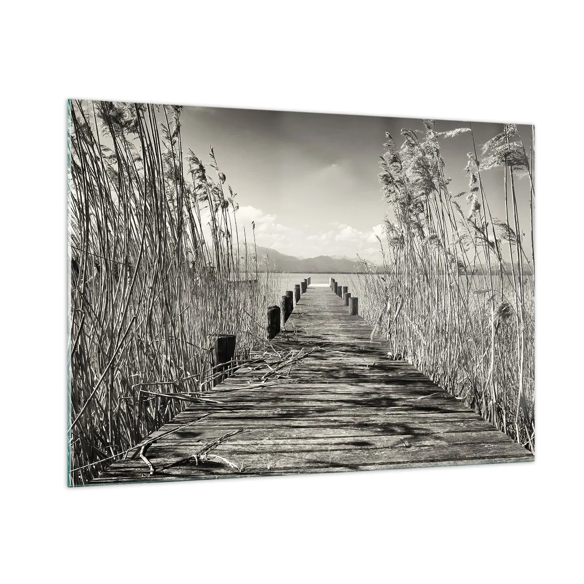 Quadro em vidro - No silêncio da relva - 100x70 cm