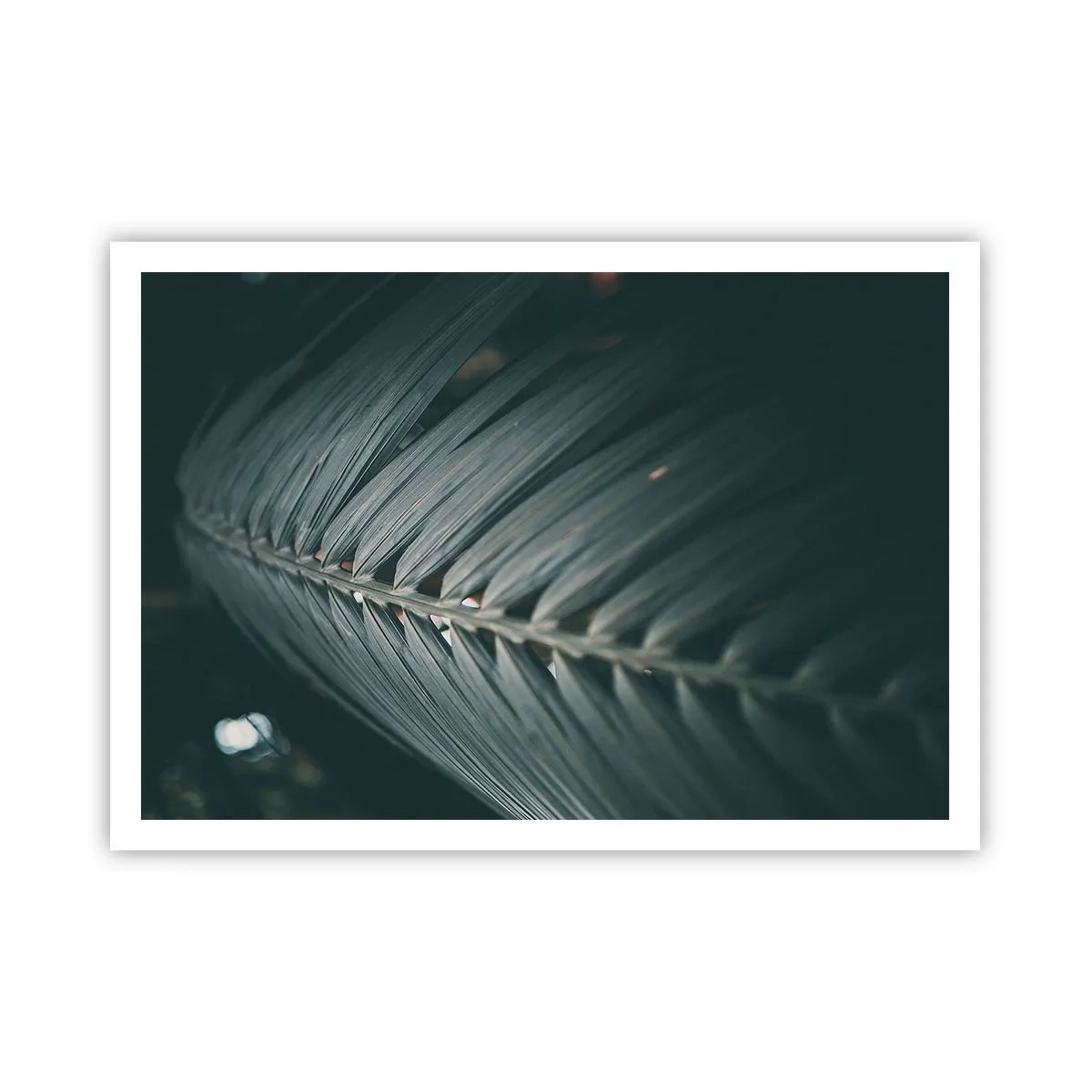 Pôster - A precisão da natureza - 100x70 cm