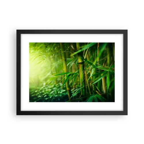 Pôster com moldura preta - Conheça a vegetação - 40x30 cm