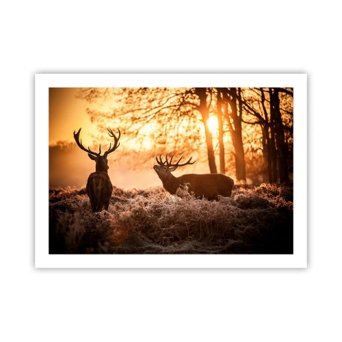 Pôster - O sonho do caçador - 70x50 cm