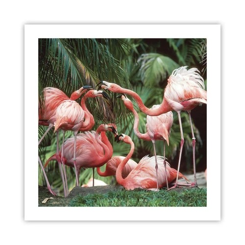 Pôster - Fofocas da tarde - 50x50 cm