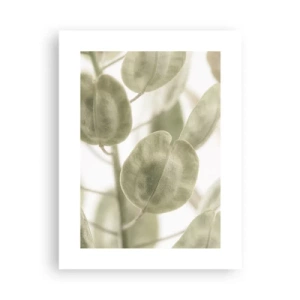 Pôster - No começo eram folhas... - 30x40 cm