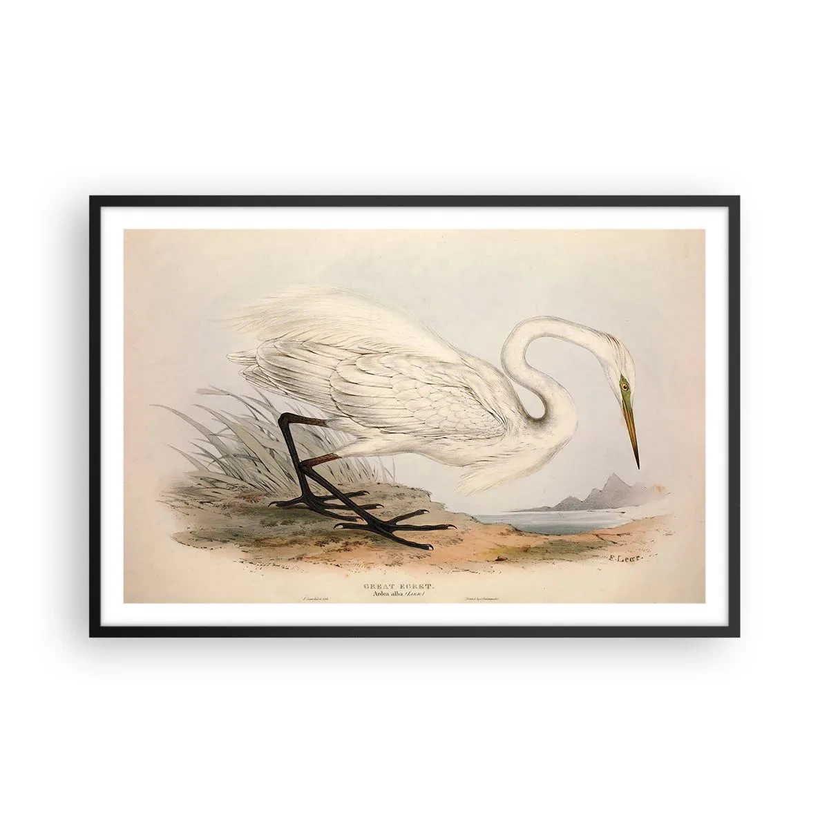 Pôster com moldura preta - A senhora nos juncos - 91x61 cm