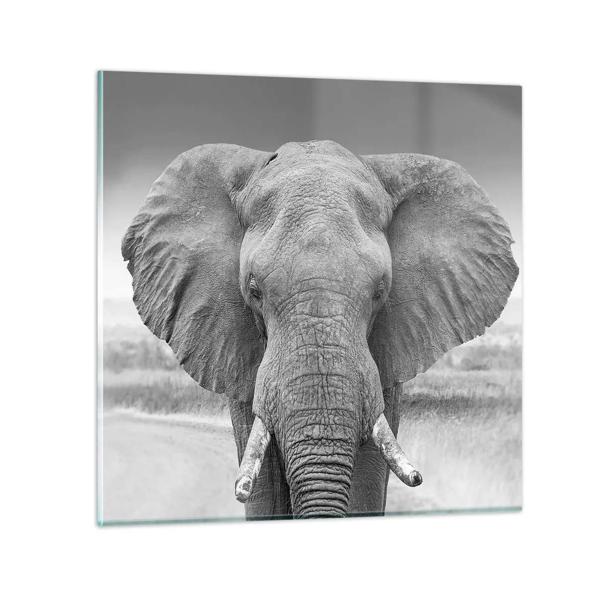 Quadro em vidro - Bem-vindo ao meu mundo - 50x50 cm