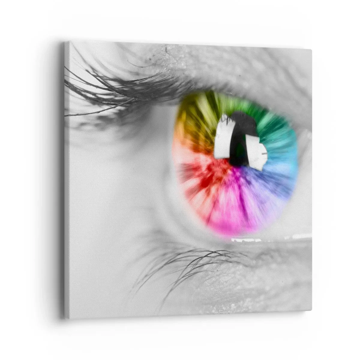 Quadro em tela - Olhar para o mundo a cores - 40x40 cm