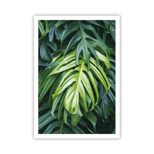 Pôster - Mergulhar no frescor - 70x100 cm