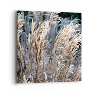 Quadro em tela - Decorado com a geada - 40x40 cm