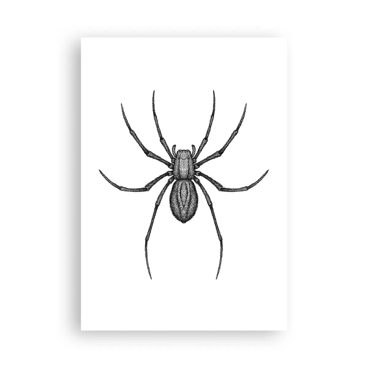 Pôster - Precisão perturbadora - 70x100 cm