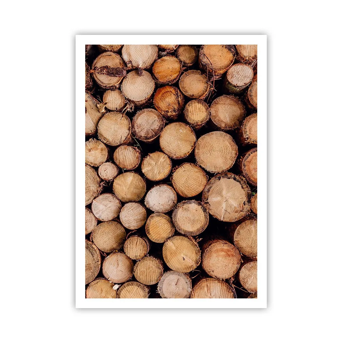 Pôster - Um novo começo - 70x100 cm