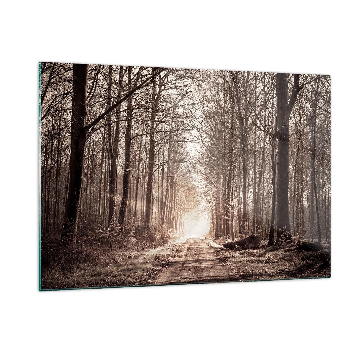 Quadro em vidro - Catedral na Floresta - 120x80 cm