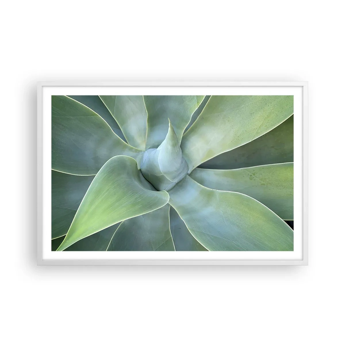 Pôster em moldura branca - O nascimento da vegetação - 91x61 cm