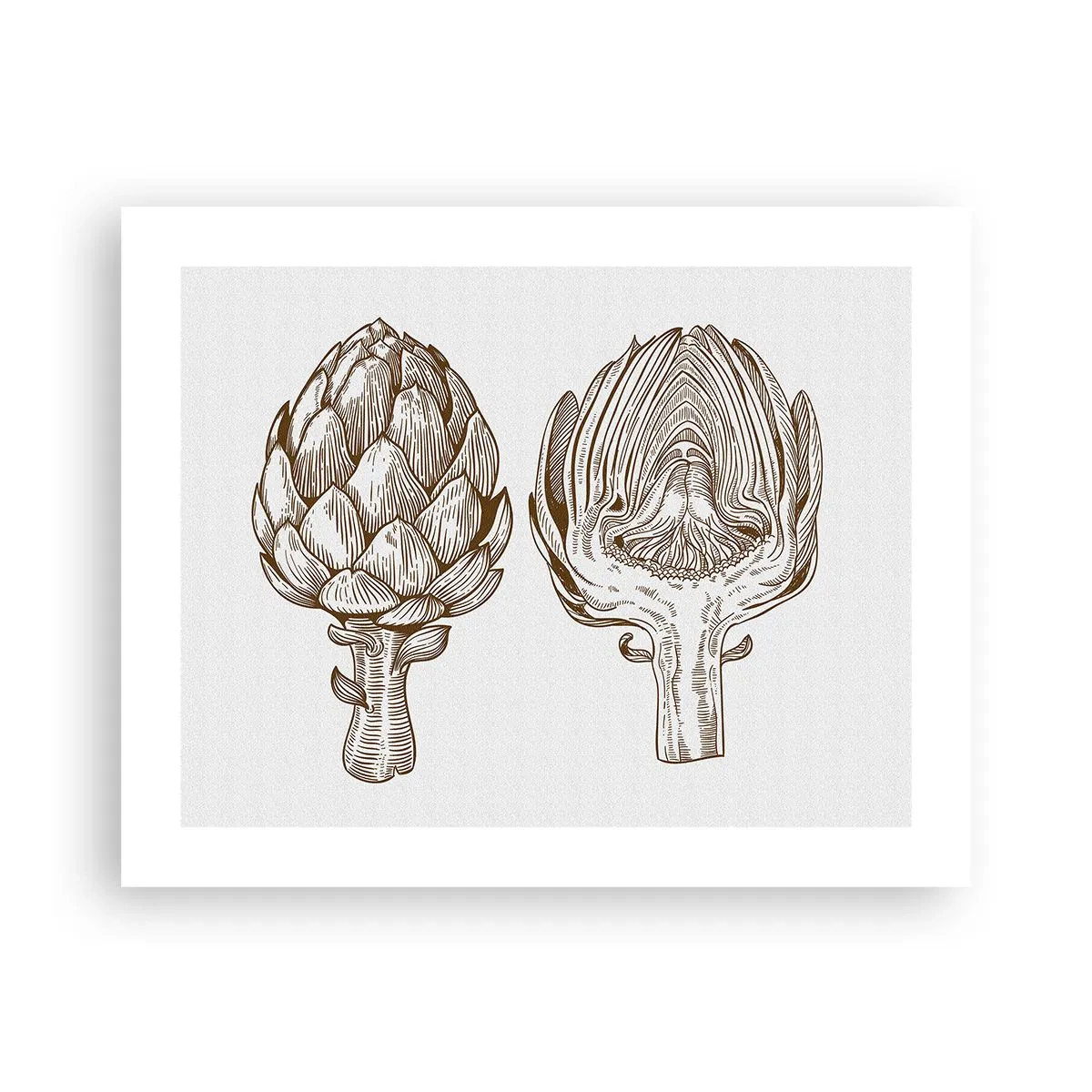 Pôster - Aula de anatomia - 50x40 cm