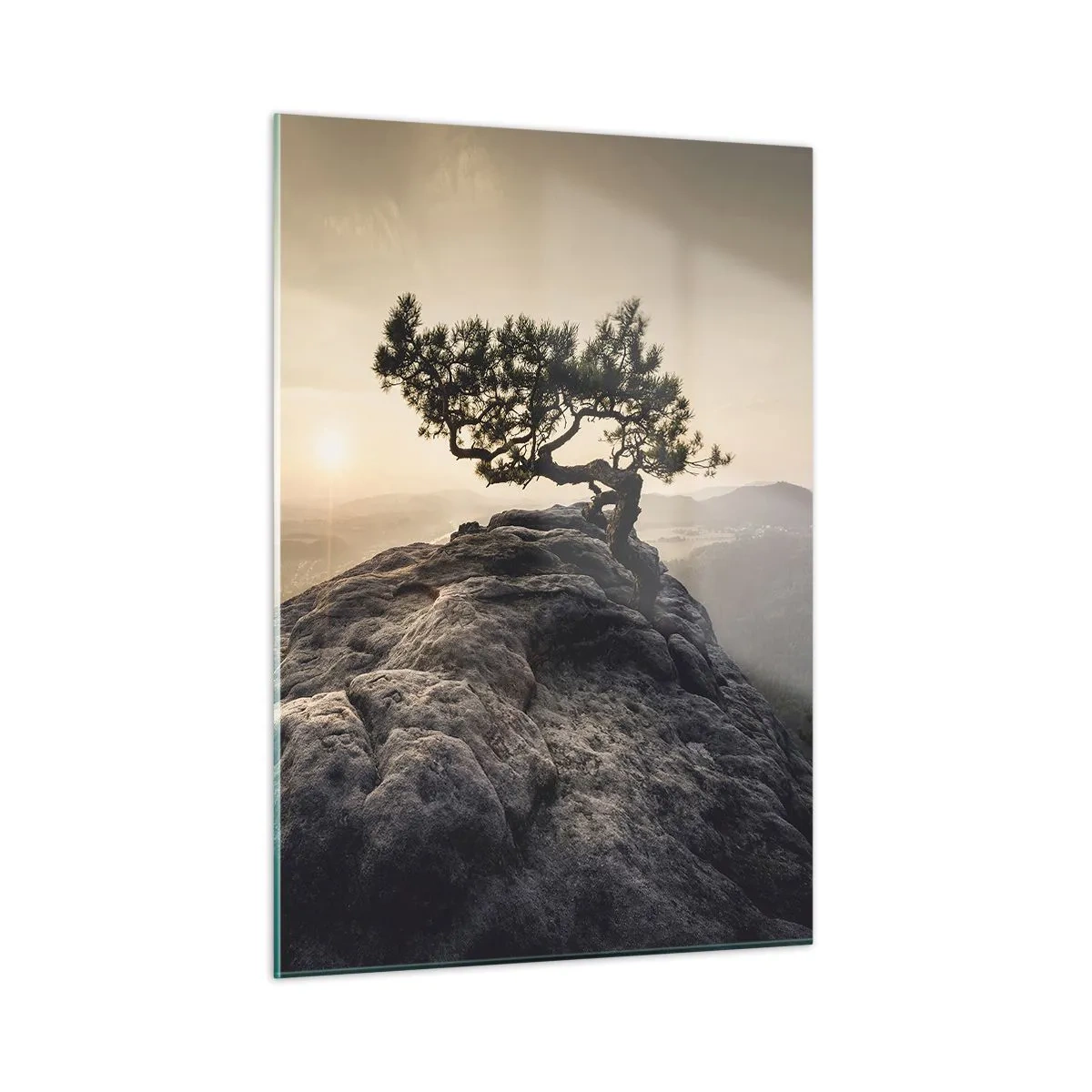 Quadro em vidro - A vida ganha sempre - 50x70 cm