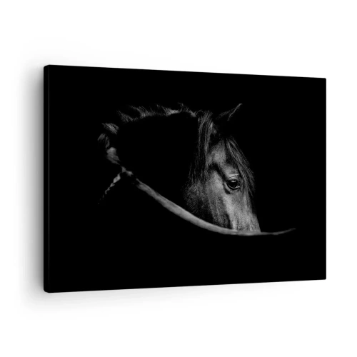 Quadro em tela - Um retrato em preto e branco de um cavalo com um sutil jogo de luz e sombra sobre um fundo escuro. - 70x50cm - Príncipe Negro - Decoração de parede moderna para a sala de estar e quarto ARTTOR