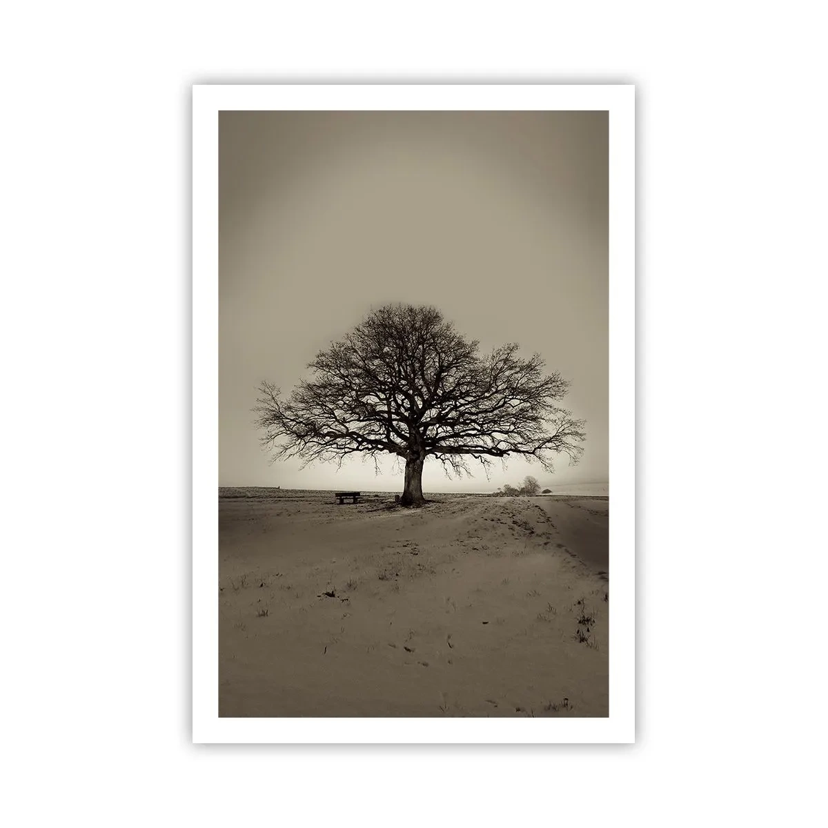 Pôster - Daqui para a eternidade - 61x91 cm