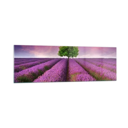 Quadro em vidro - Nos campos de lavanda - 160x50 cm