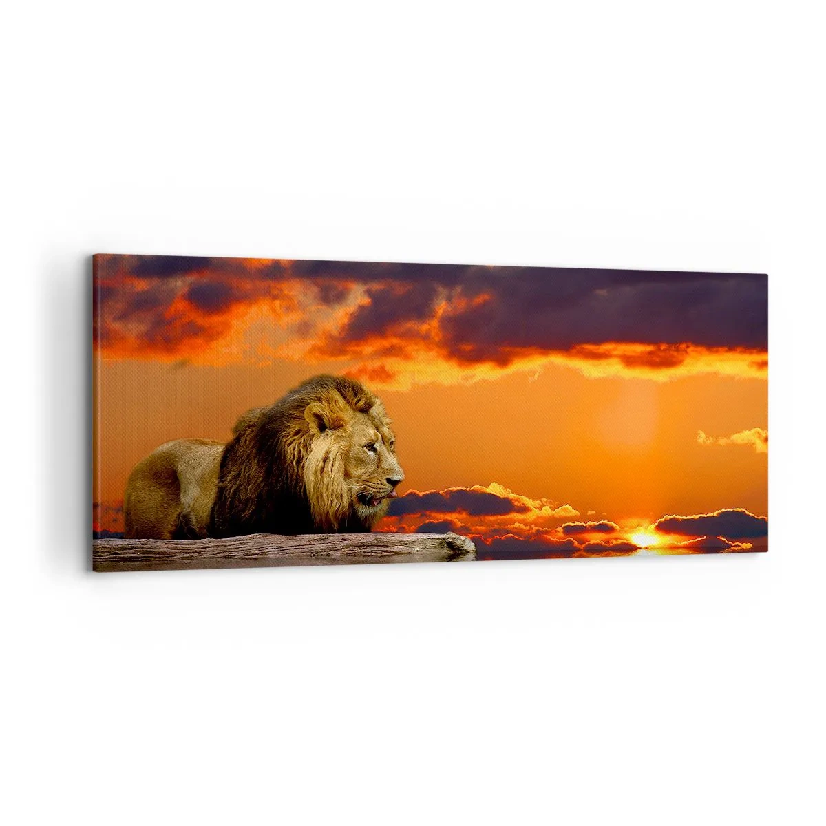 Quadro em tela - Rei da natureza - 120x50 cm